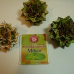 Marokkanische Minze